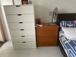 Blk 264 Tampines Street 21 (Tampines), HDB 4 Rooms #523006501